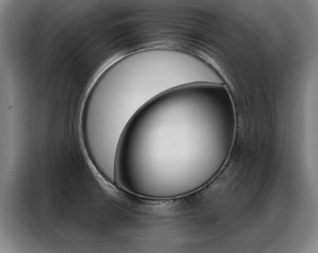 X0000088431426200705220845