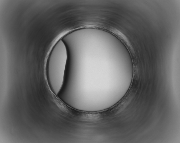 X0000088431427200705220845