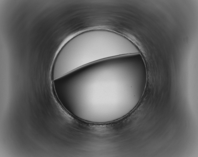 X0000088431428200705220845
