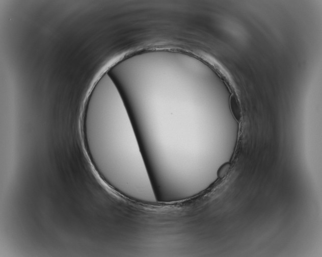 X0000088431429200705220845
