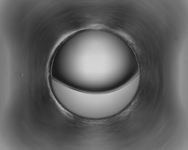 X0000088431430200705220845