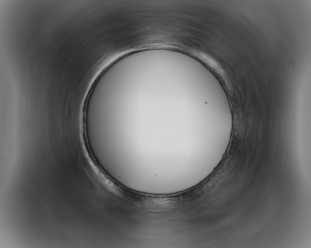 X0000088431431200705220845