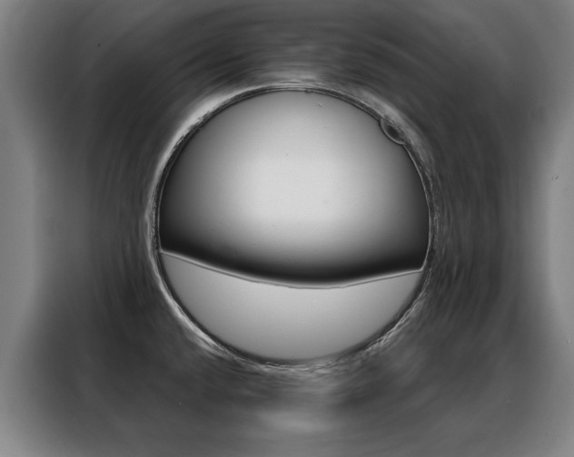 X0000088431432200705220845