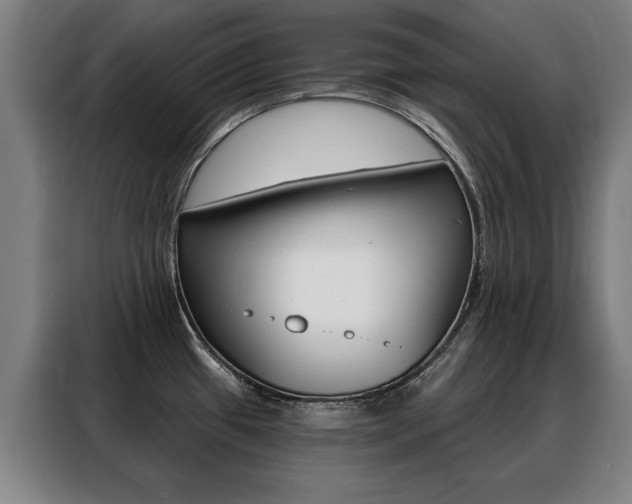 X0000088431433200705220845