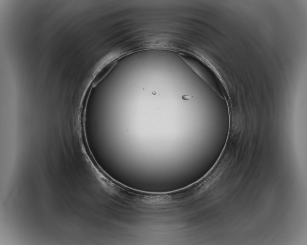 X0000088431434200705220845