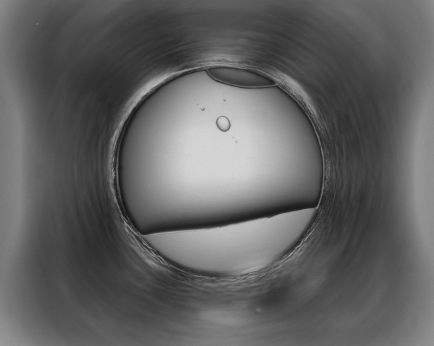 X0000088431435200705220845