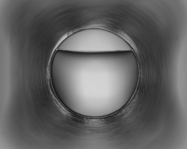 X0000088431436200705220845