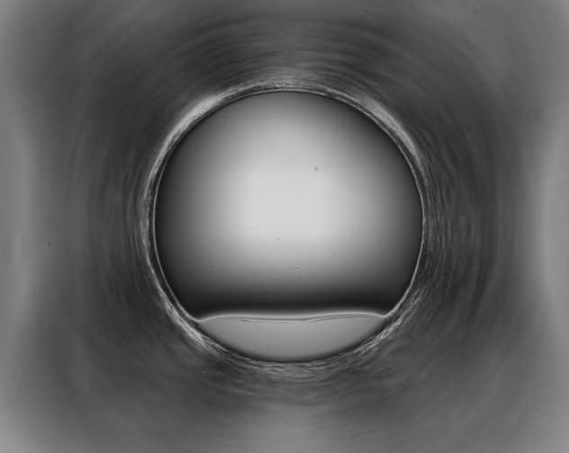 X0000088431437200705220845