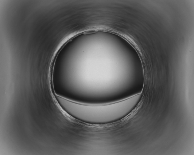 X0000088431438200705220845