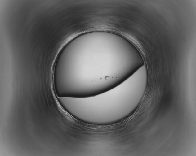 X0000088431439200705220845