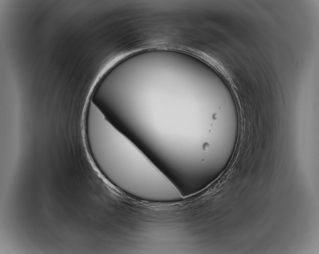 X0000088431440200705220845