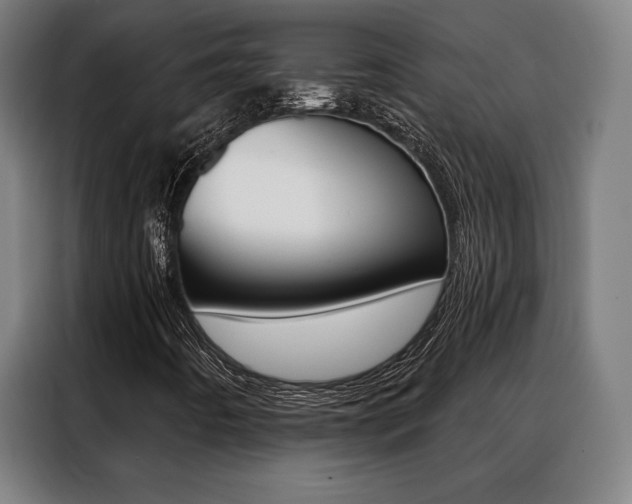 X0000088431442200705220844