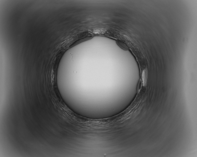 X0000088431443200705220844