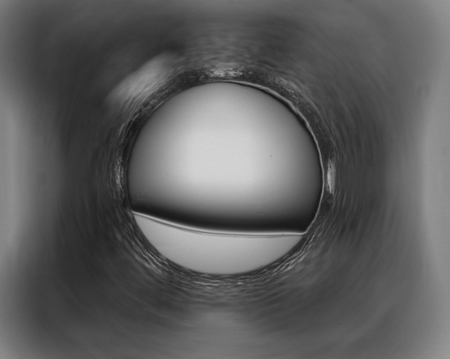 X0000088431444200705220844