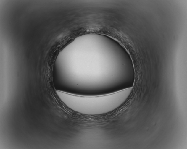 X0000088431445200705220844