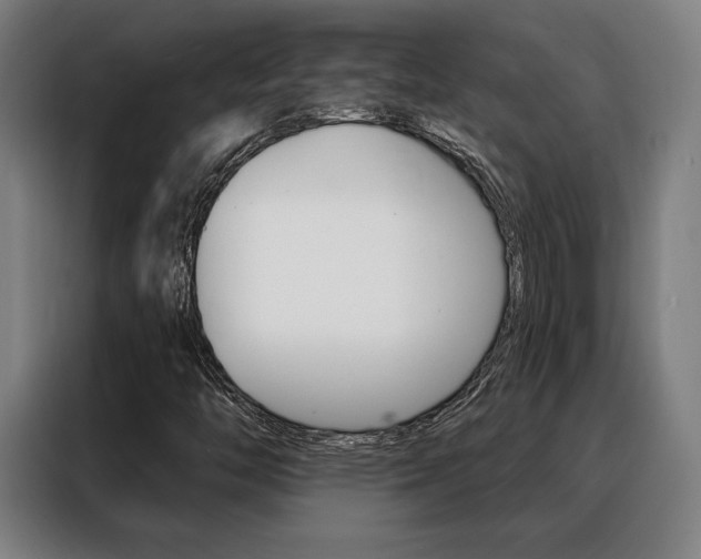 X0000088431446200705220844