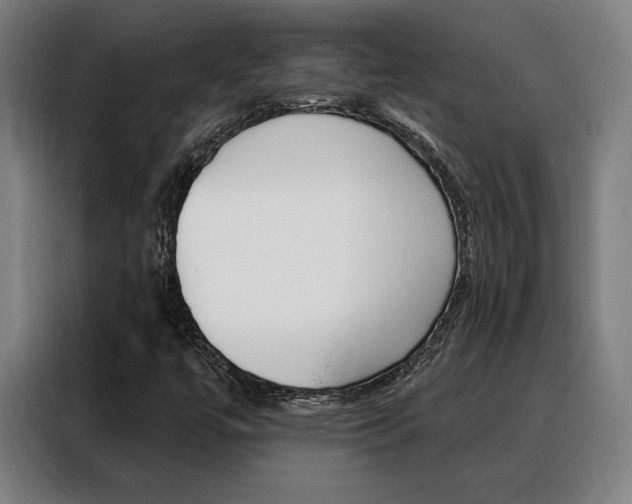 X0000088431447200705220844