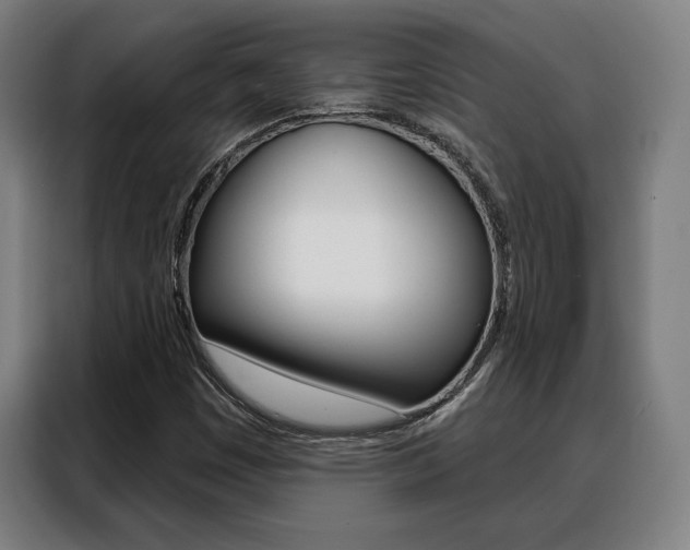 X0000088431449200705220844