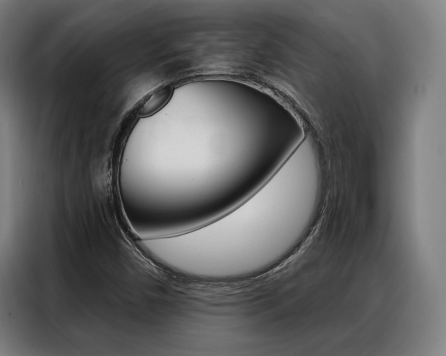 X0000088431450200705220844