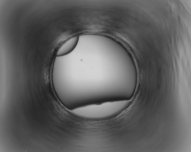 X0000088431451200705220844