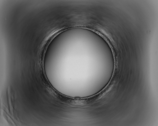 X0000088431453200705220844
