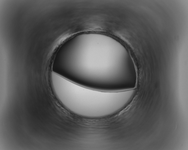 X0000088431455200705220844