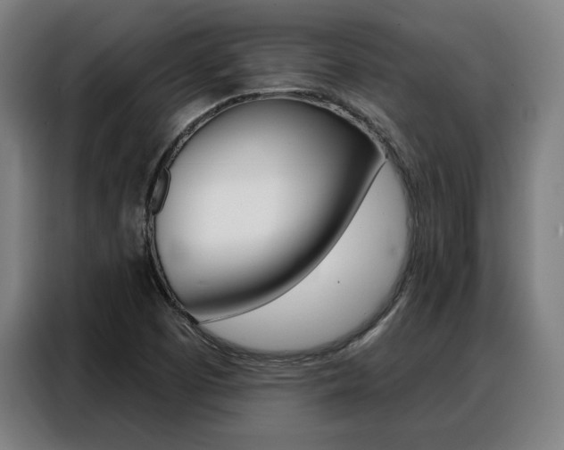 X0000088431457200705220844