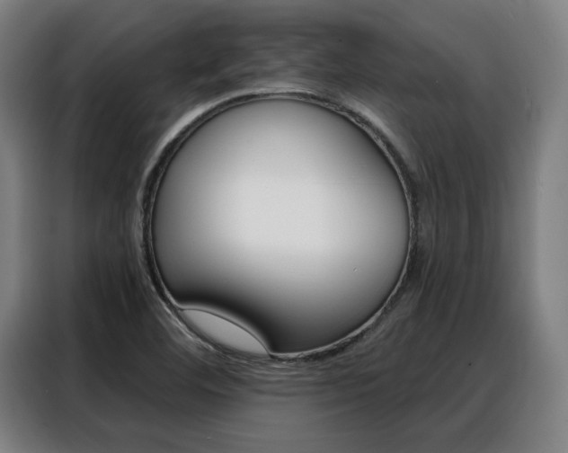 X0000088431460200705220844