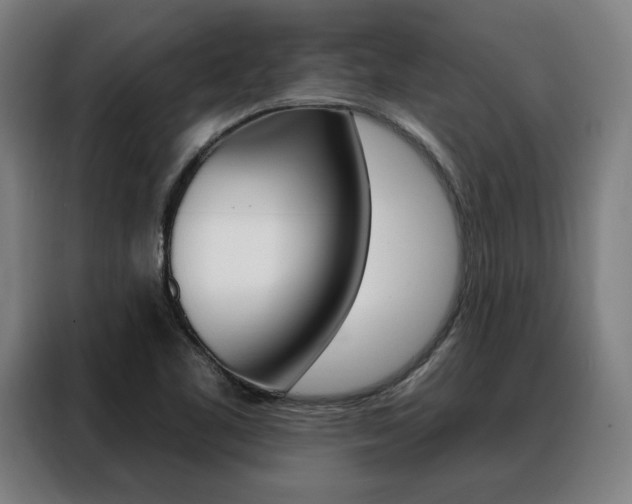 X0000088431461200705220844