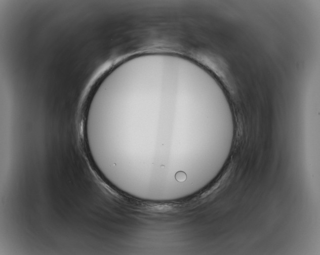 X0000088431462200705220844