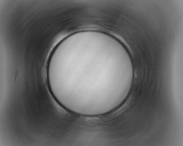 X0000088431466200705220844