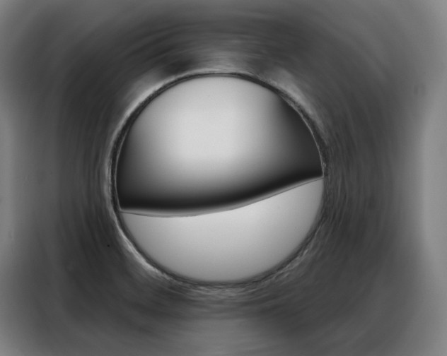 X0000088431468200705220844
