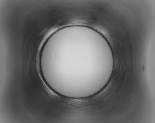 X0000088431470200705220844