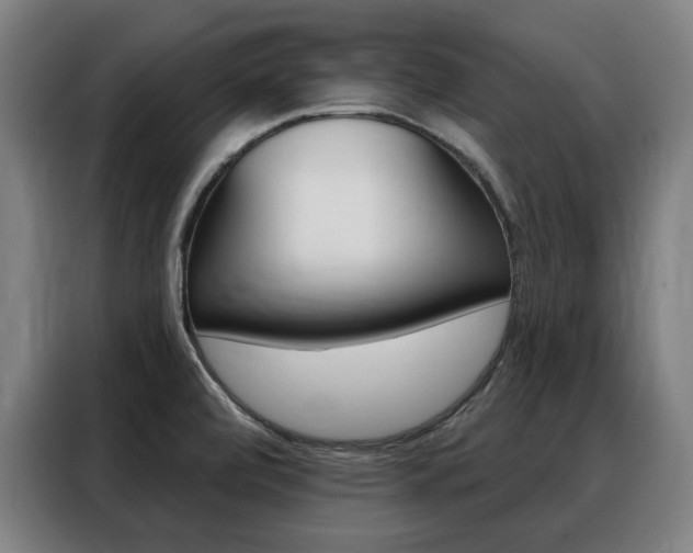 X0000088431472200705220844