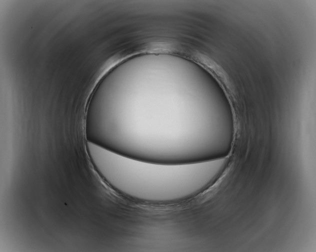 X0000088431473200705220844