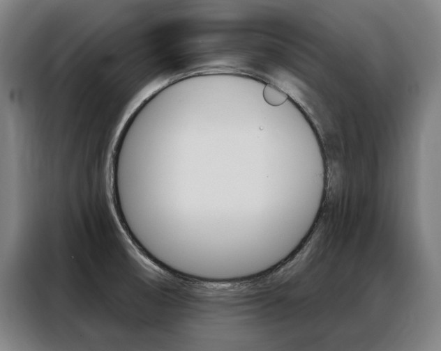 X0000088431474200705220844