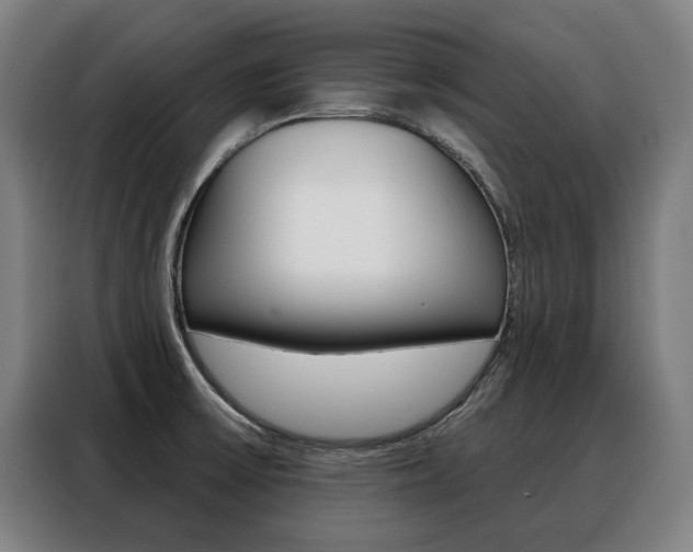 X0000088431475200705220844