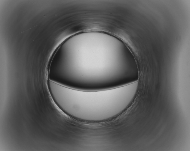 X0000088431476200705220844