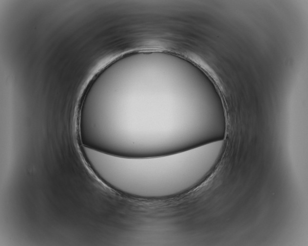 X0000088431477200705220844