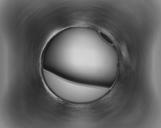 X0000088431479200705220844