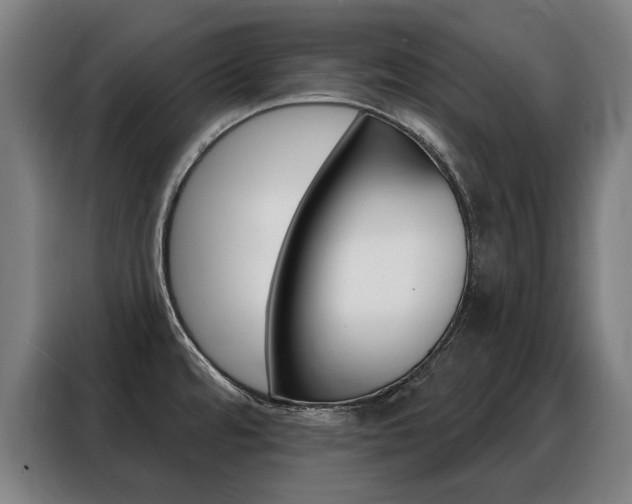 X0000088431480200705220844