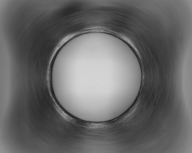 X0000088431482200705220844