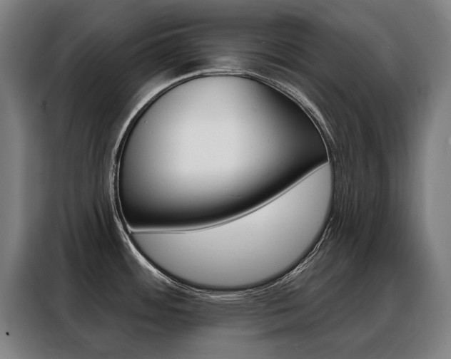 X0000088431484200705220844