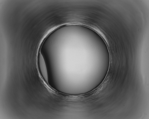 X0000088431485200705220844