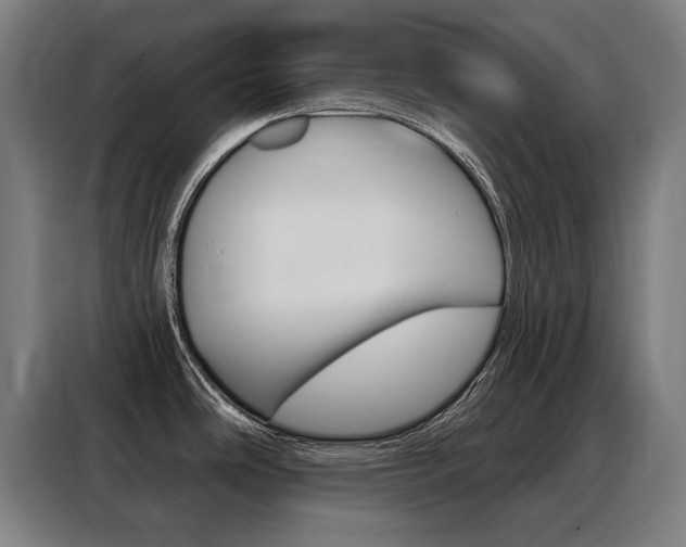 X0000088431486200705220844