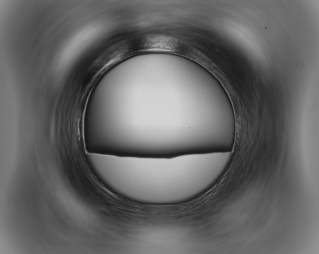 X0000088431487200705220844