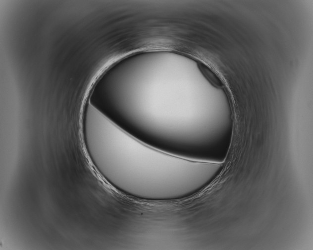 X0000088431488200705220844