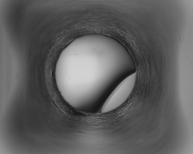 X0000088431489200705220843