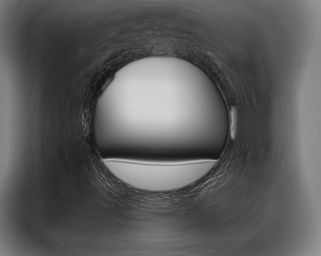 X0000088431491200705220843