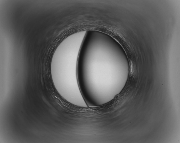 X0000088431492200705220843